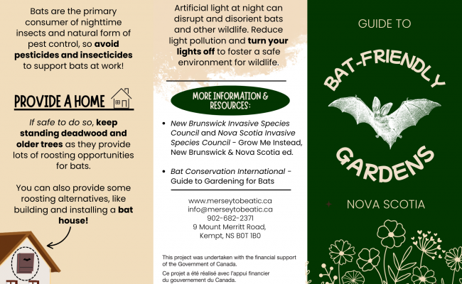 Bat-Friendly Gardens Brochure PDF for download
