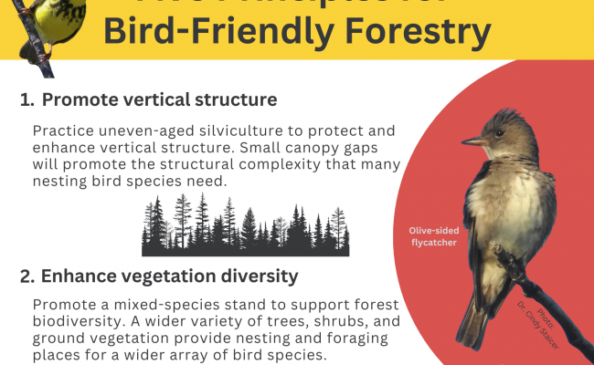 Five Principles for Bird-Friendly Forestry PDF for download